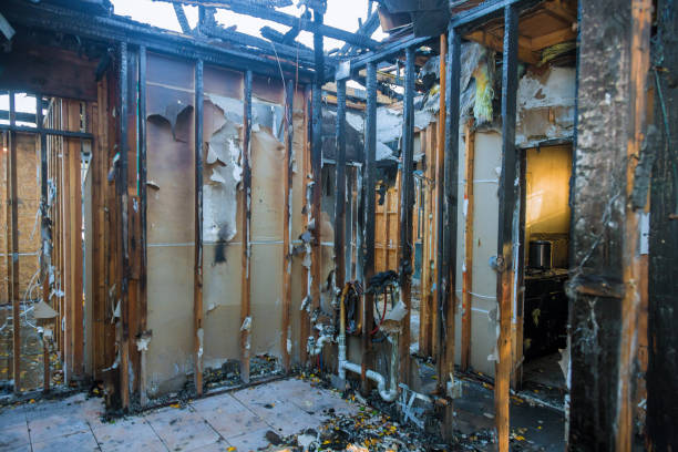 Professional Fire Damage Removal technician working in Swedesboro, NJ